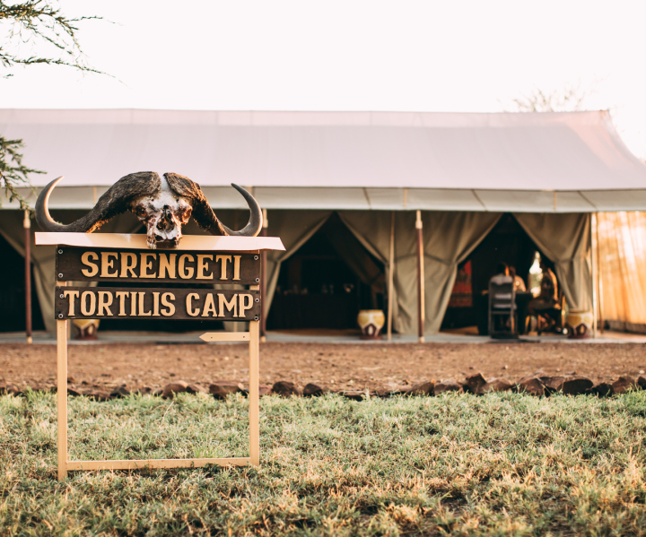 Tortills Serengeti