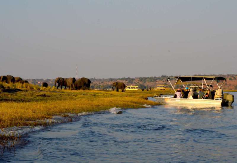 Rivertour auf dem Chobe River